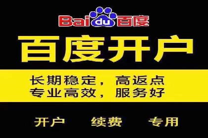 百度推广排名提升方案：某科技公司的成功经验