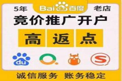 某某sem公司成功案例分享：从零到一的营销策略